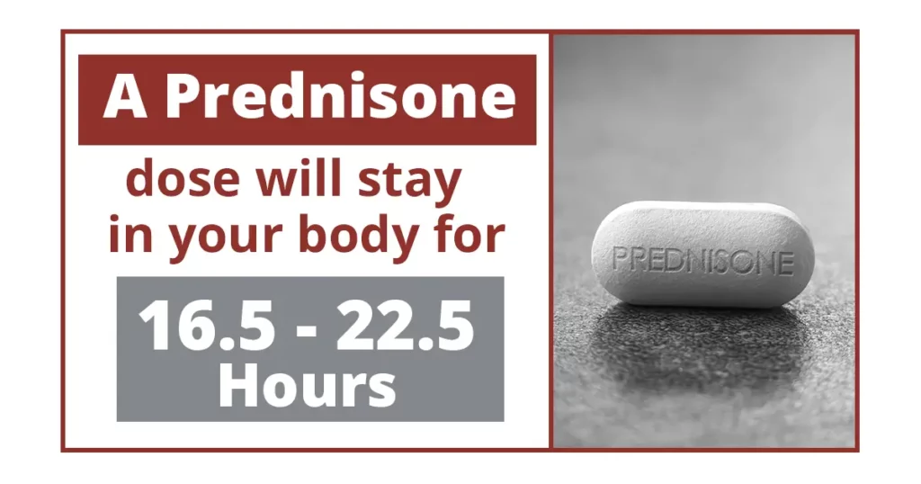 how ling with prednisone stay in your body Alcohol When on Prednisone