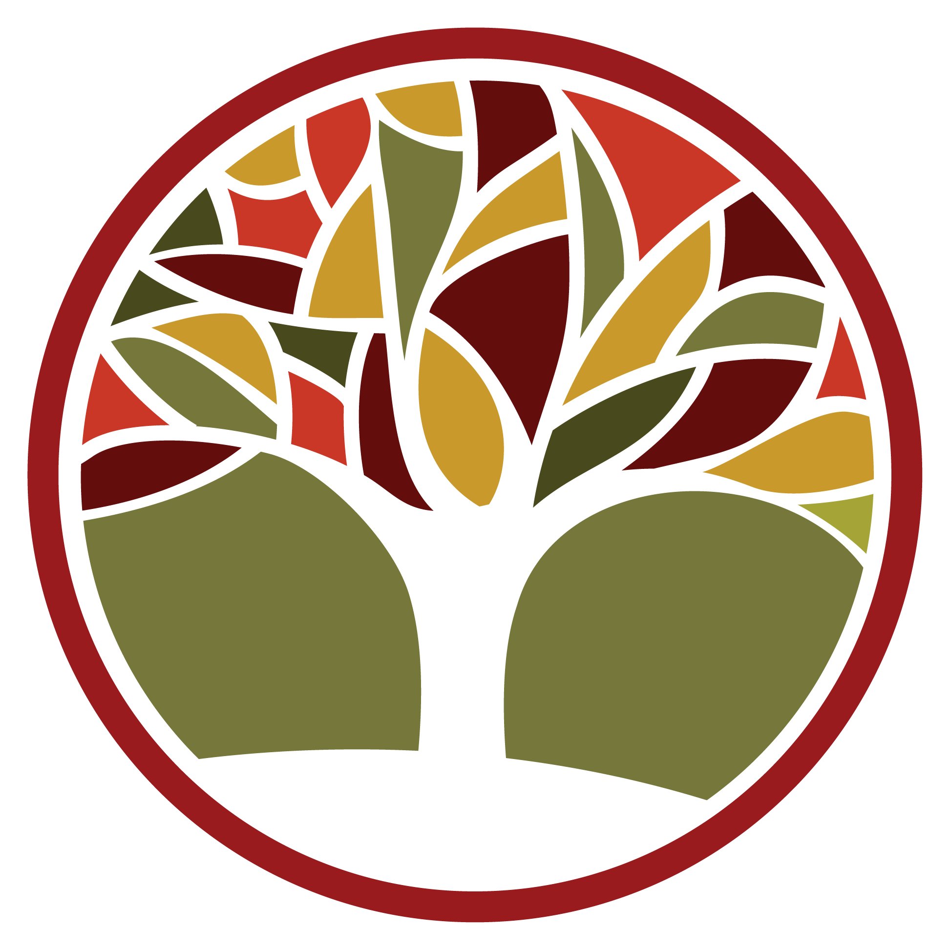 ICFR icon