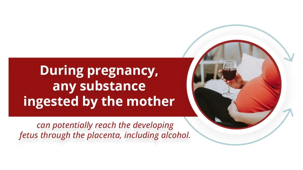 Pregnant woman holding a glass of red wine. Text explains any substance ingested by the mother can potentially reach the fetus. 